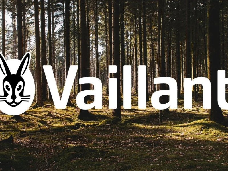 Vaillant F27 Fault Code – A Complete Knowledge For A Bona Fide Vaillant User