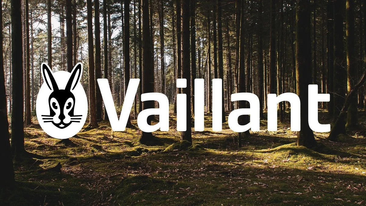 Vaillant F27 Fault Code – A Complete Knowledge For A Bona Fide Vaillant User
